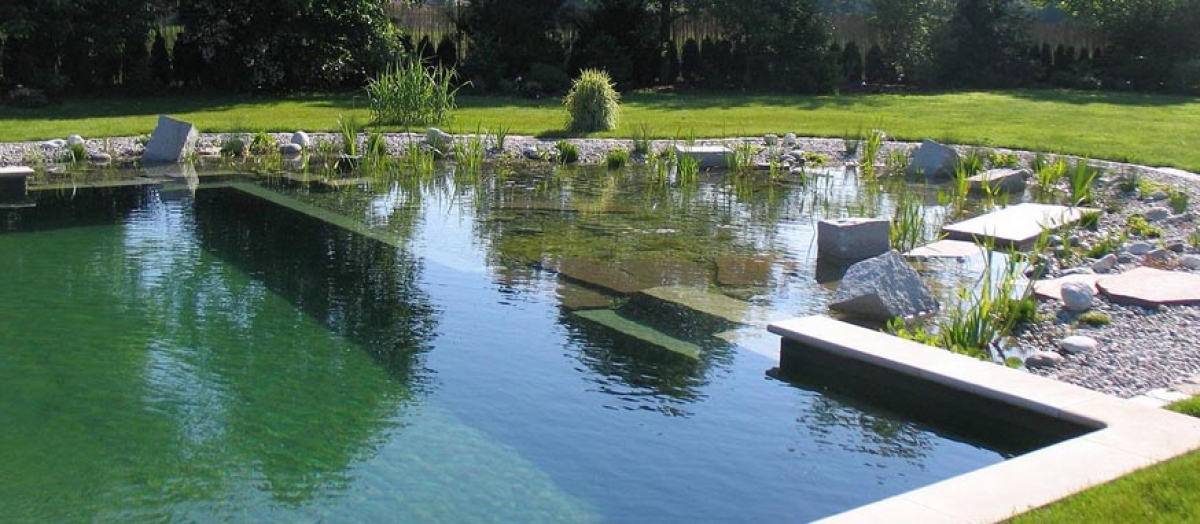 La piscine naturelle, une alternative biologique